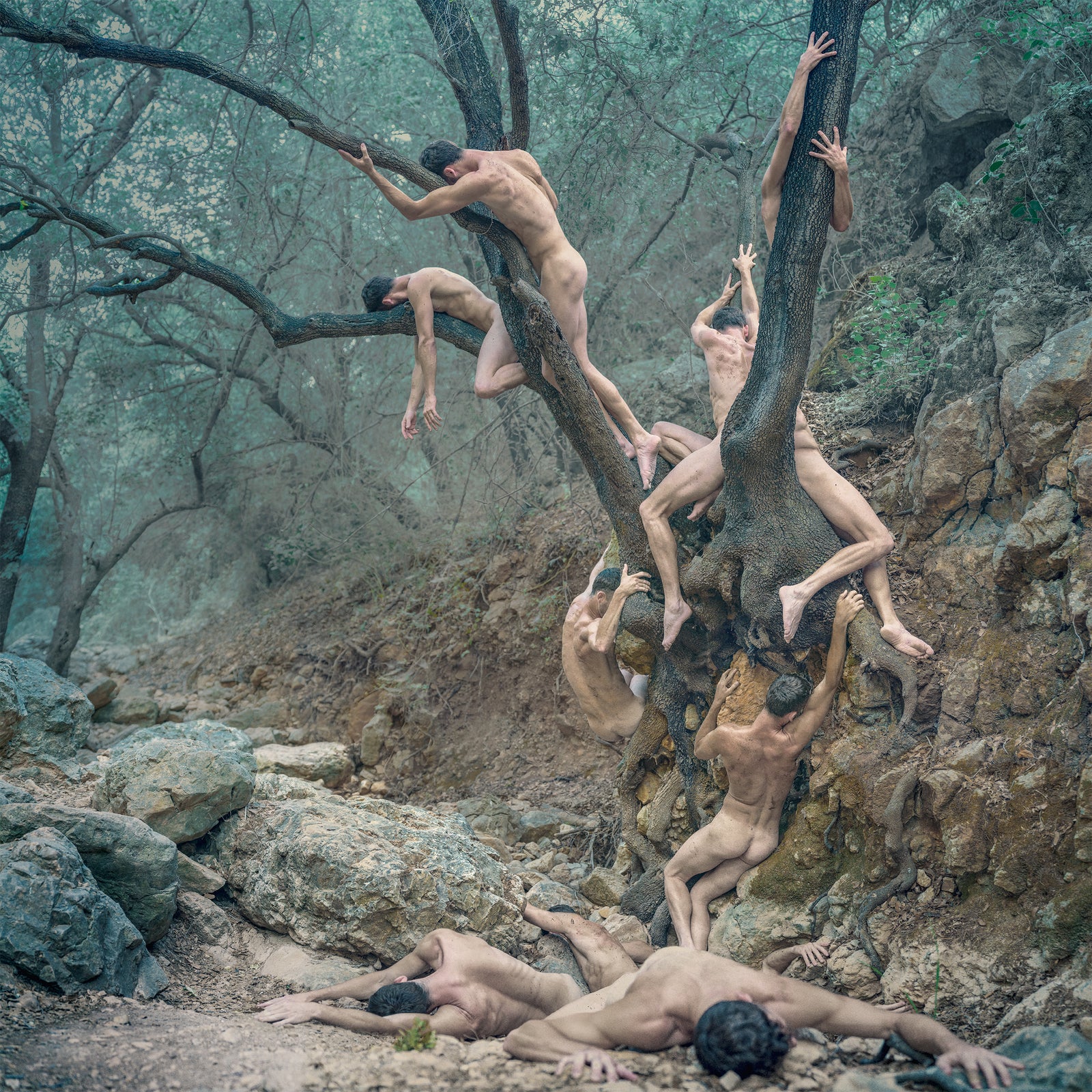 Enrooted Habits, Limited Edition Print