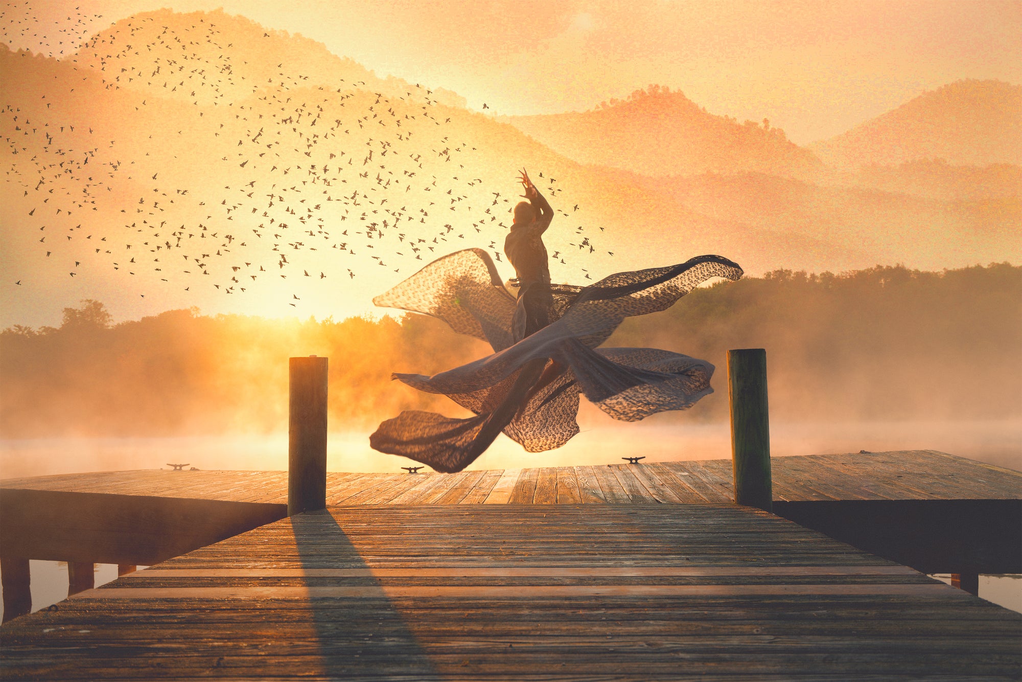 Flight, Limited Edition Print