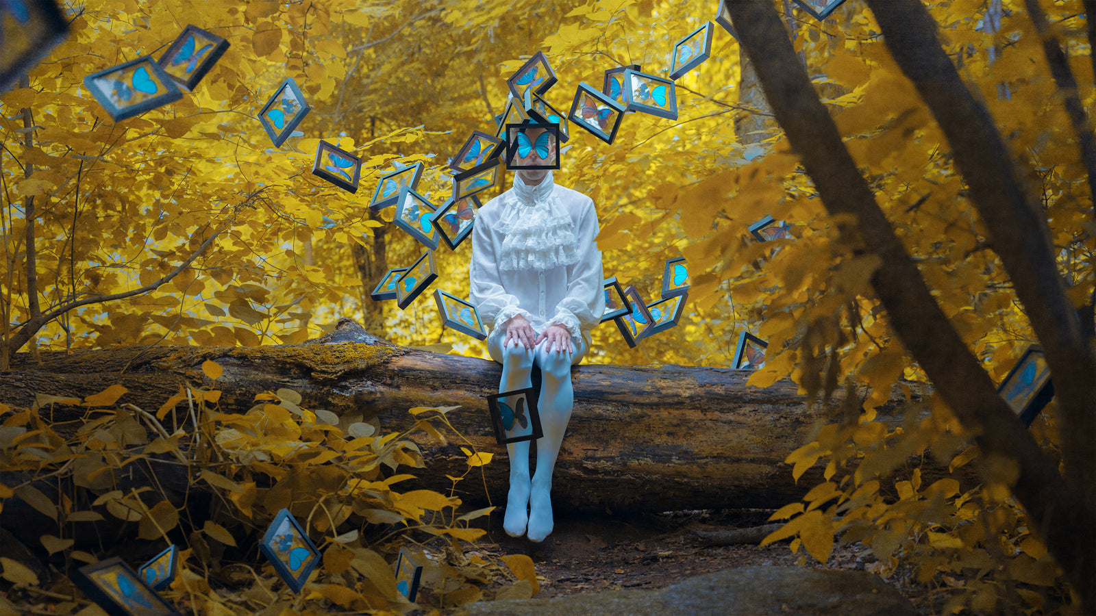 Framing Device, Limited Edition Print