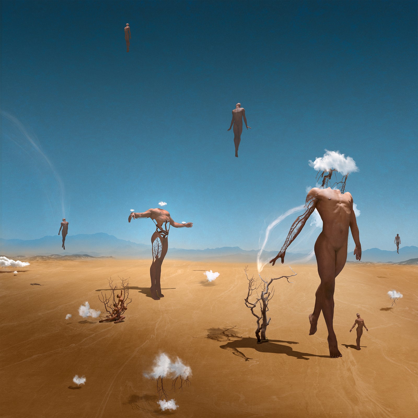 The Natural Order, Limited Edition Print